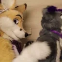 FurryShower emote for Discord