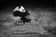 fucktheworldimapanda emote for Discord