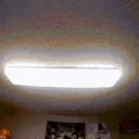 FumoInspectingYou emote for Discord