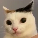 fuh emote for Discord