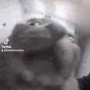 funnyblackcat4 emote for Discord