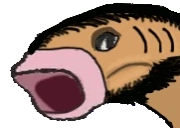 FochOOOO emote for Discord