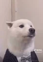 FowlDog emote for Discord