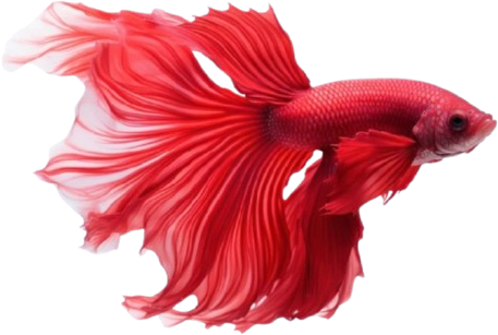 redfish emote for Discord