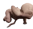 Forestbabyshake emote for Discord