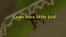 Foxing emote for Discord