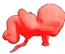 Forestbabyrage emote for Discord