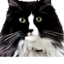 folkeJAM emote for Discord