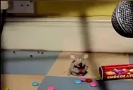 fonibon emote for Discord