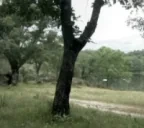 FOOTING emote for Discord