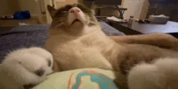 forgetful emote for Discord