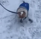 ForeverRUN emote for Discord