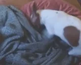 ForeverDone emote for Discord