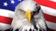Freedom emote for Discord