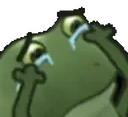 FrogeNOOOO emote for Discord