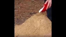 Fon emote for Discord