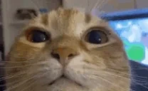 frame023delay028s emote for Discord