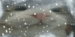 Freezing emote for Discord