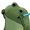 frogeCheer emote for Discord