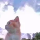 Freedom emote for Discord