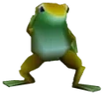 FROGGER emote for Discord