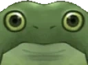 frogeblink emote for Discord