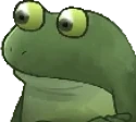 FrogeNotme emote for Discord