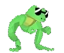 frogPls emote for Discord