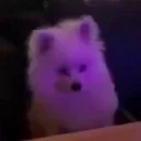 FridayNight emote for Discord