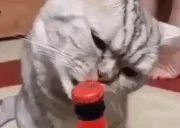 Friday emote for Discord