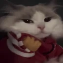 frick emote for Discord