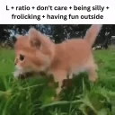 frolicking emote for Discord