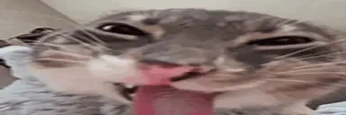 FREAKY emote for Discord