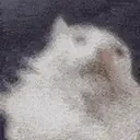 FreakOut emote for Discord