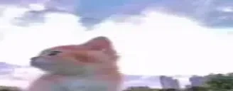 Freedom emote for Discord