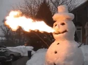 frostyonfire emote for Discord