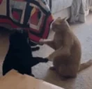 friend emote for Discord