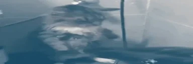 Freeze emote for Discord