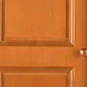 FrontDoor emote for Discord