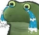 FrogeSadgeCry emote for Discord