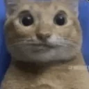 frame145delay007sSingingAtYou emote for Discord