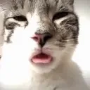 freaky emote for Discord