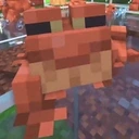 FrogWalk emote for Discord