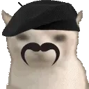 frCateat animated emote for Discord, Twitch and Slack