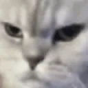 FRECH emote for Discord