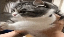 friday emote for Discord