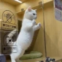 FriendHappi emote for Discord