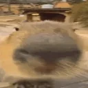 francesco emote for Discord