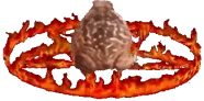 frogSpin emote for Discord