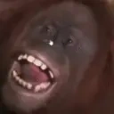 FreakyOrangutan emote for Discord